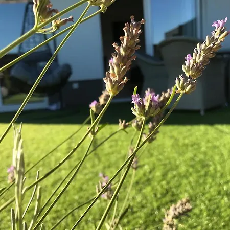 Hedonist-luxury 2 Bedroom With Private Hot Tub, Garden And Free Parking 公寓