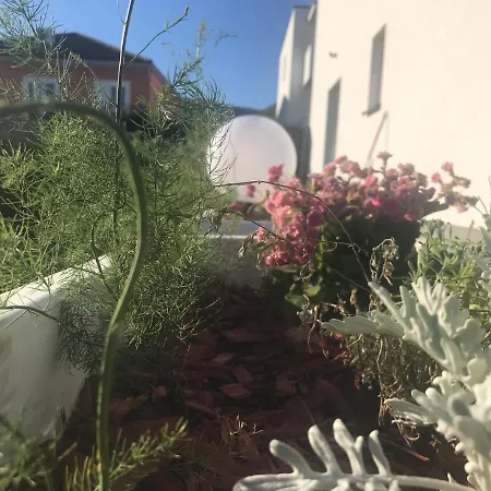 Hedonist-luxury 2 Bedroom With Private Hot Tub, Garden And Free Parking