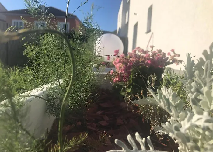 Hedonist-luxury 2 Bedroom With Private Hot Tub, Garden And Free Parking